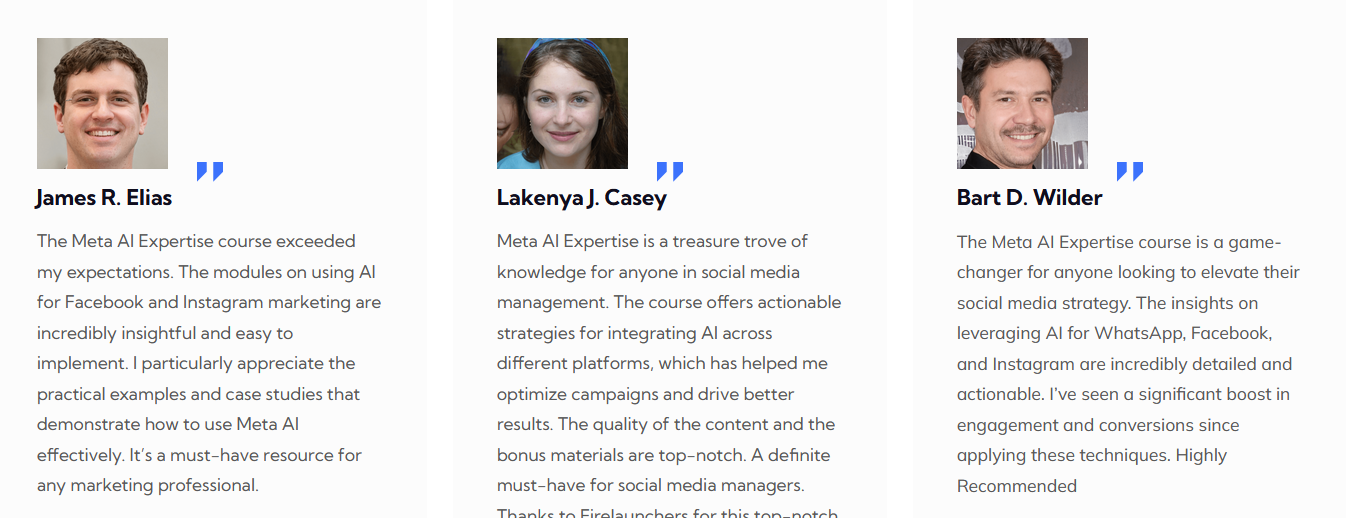 Meta AI Expertise Review