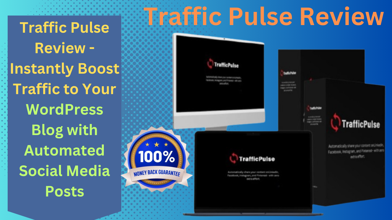 Traffic Pulse Review